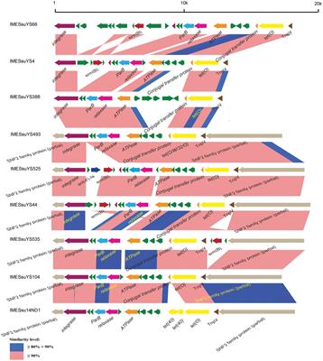 Characterization of integrative and conjugative elements carrying antibiotic resistance genes of Streptococcus suis isolated in China